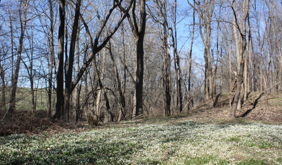 Wanderung Lommatzscher Pflege Foto: Silke Schubert