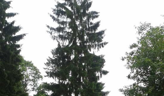 Foto: Angelika Leonhardt