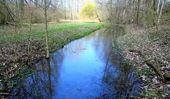 Foto: Siegfried Reimer