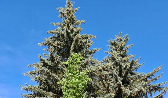 Foto: Angelika Leonhardt